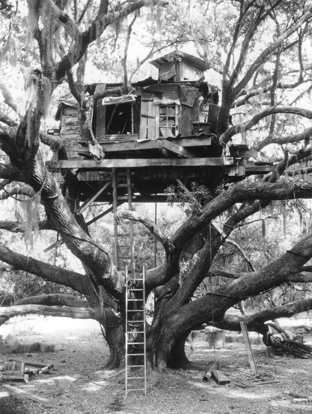 8月のメモワールの画像