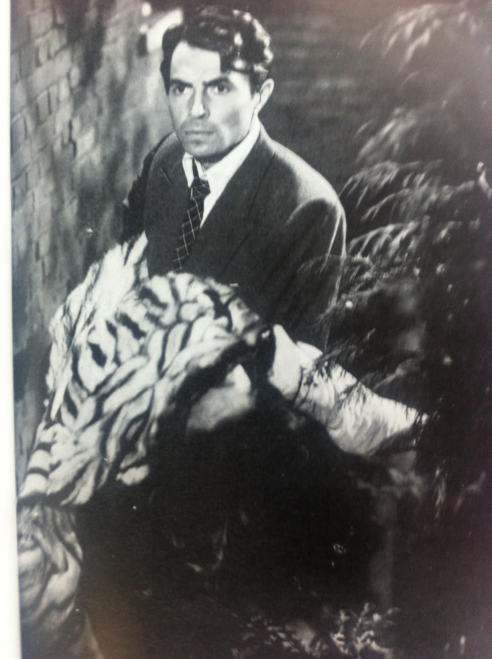 霧の夜の戦慄の画像