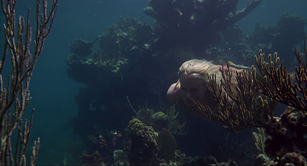 スプラッシュの画像