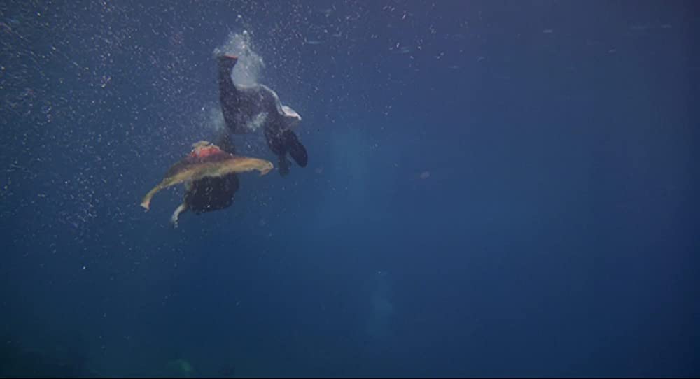 スプラッシュの画像