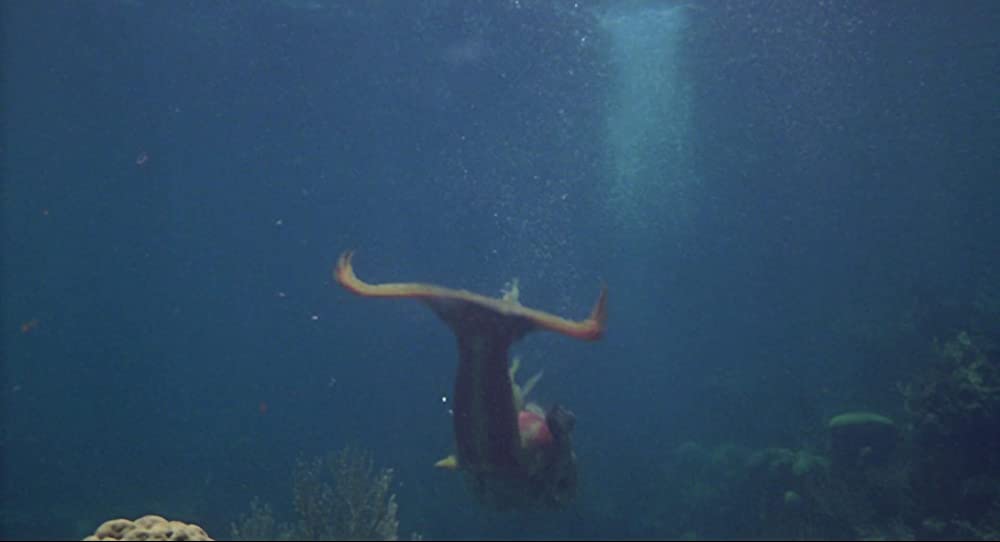 スプラッシュの画像