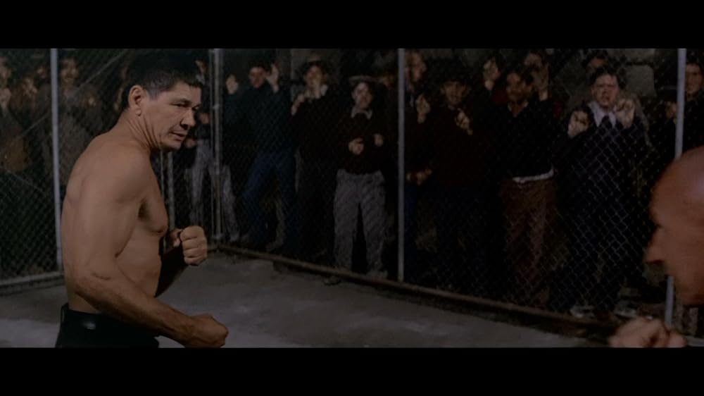 ストリートファイターの画像