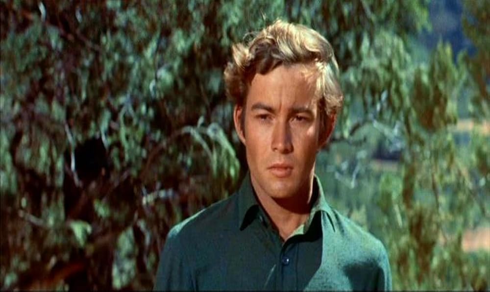 襲われた幌馬車の画像