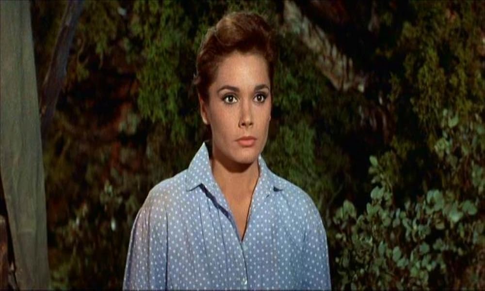 襲われた幌馬車の画像