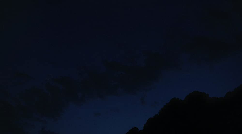 胸騒ぎのシチリアの画像