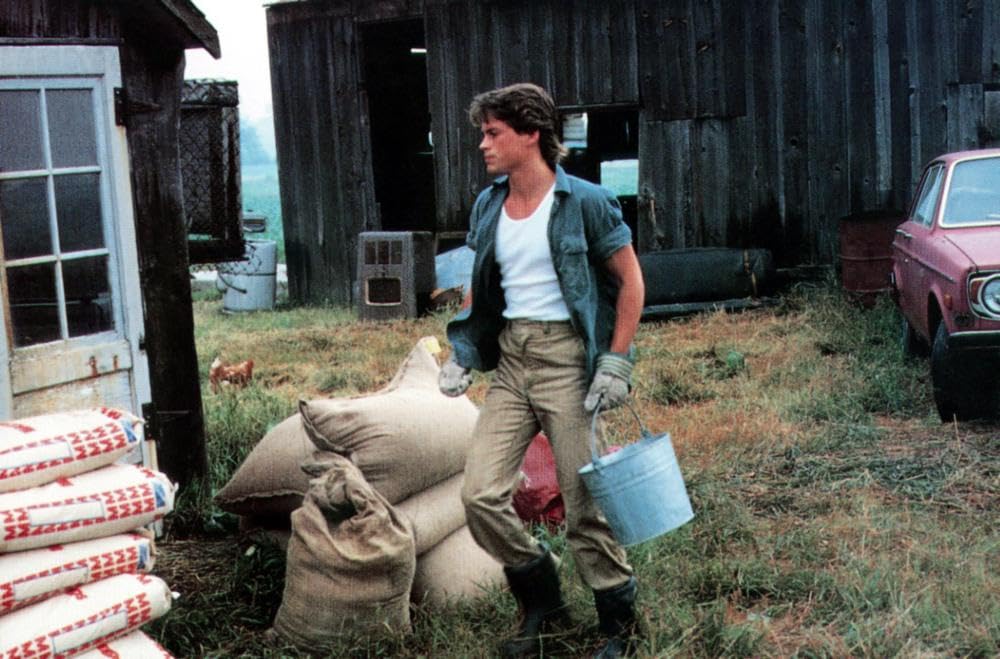 「栄光のエンブレム」の画像