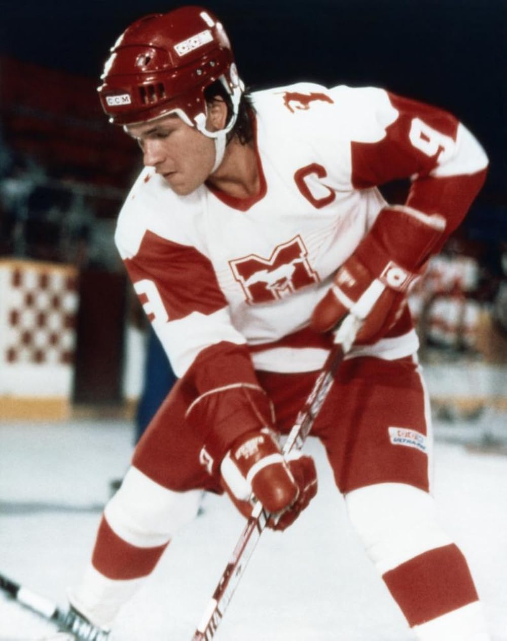 「栄光のエンブレム」の画像