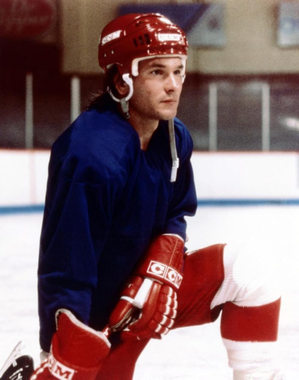 「栄光のエンブレム」の画像