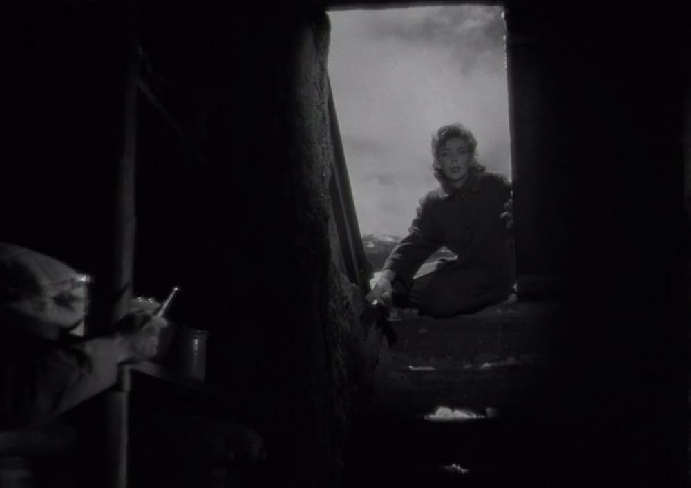 危険な場所での画像