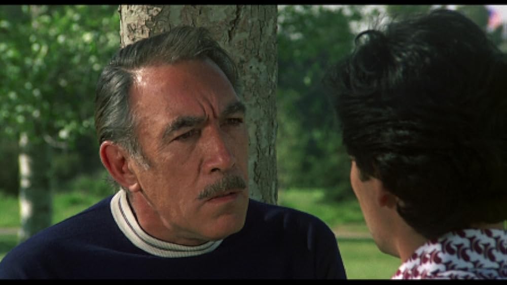 ザ・ファミリーの画像