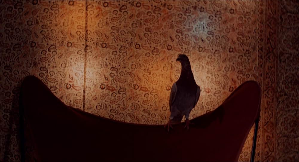 アメリカを斬るの画像