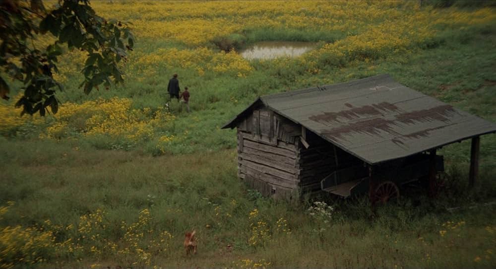 アメリカを斬るの画像