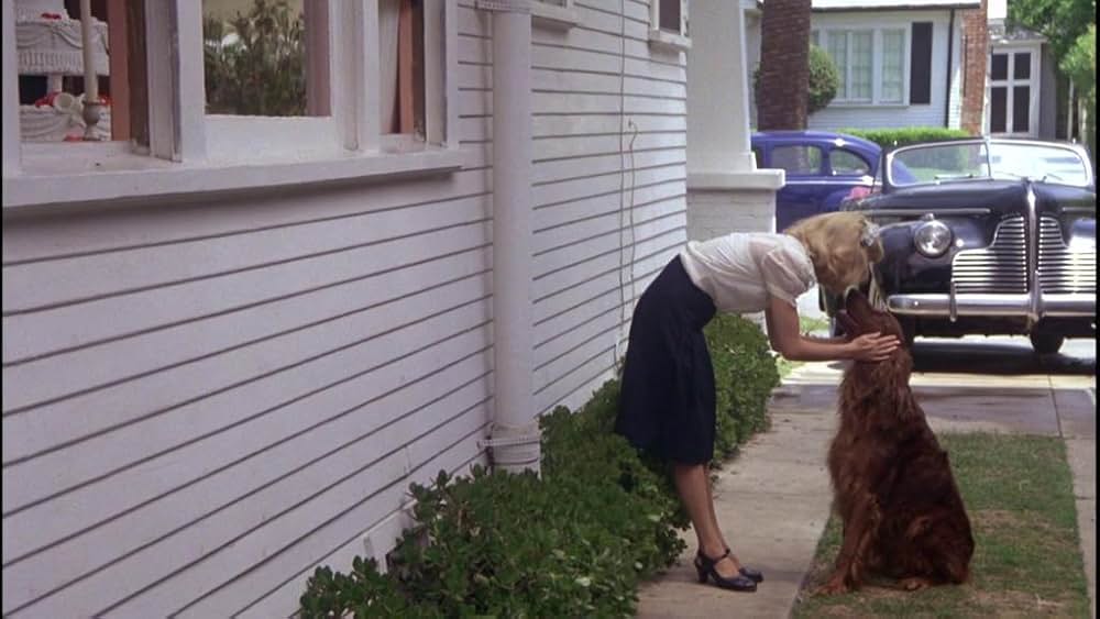 スイング・シフトの画像