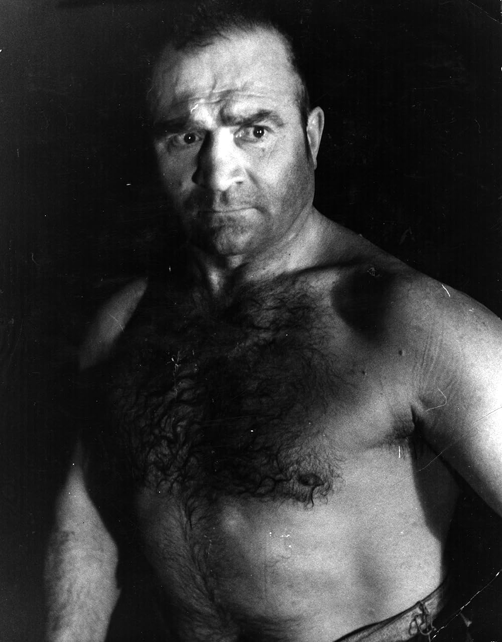 巌窟の野獣の画像