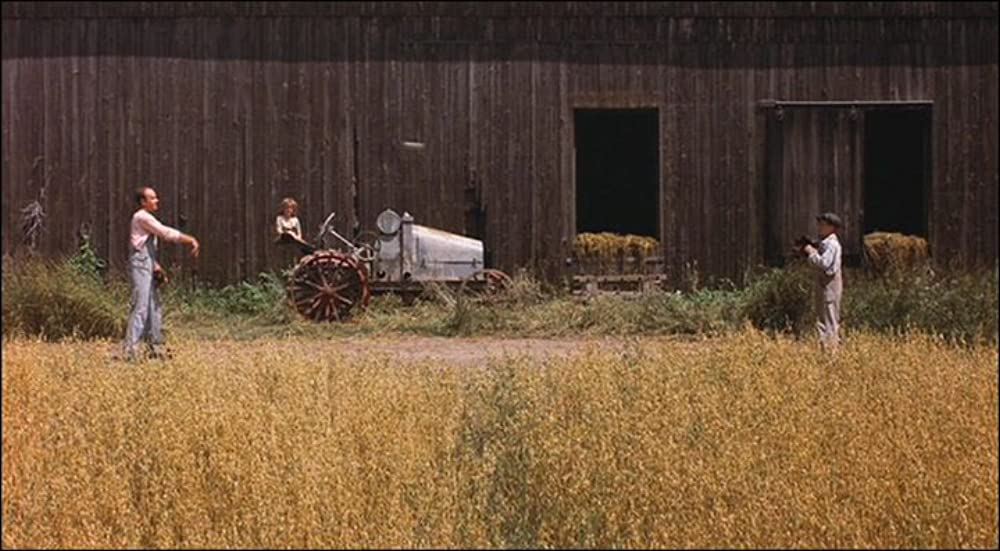 ナチュラルの画像