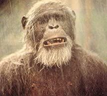 エイプマンひとりぼっちの画像