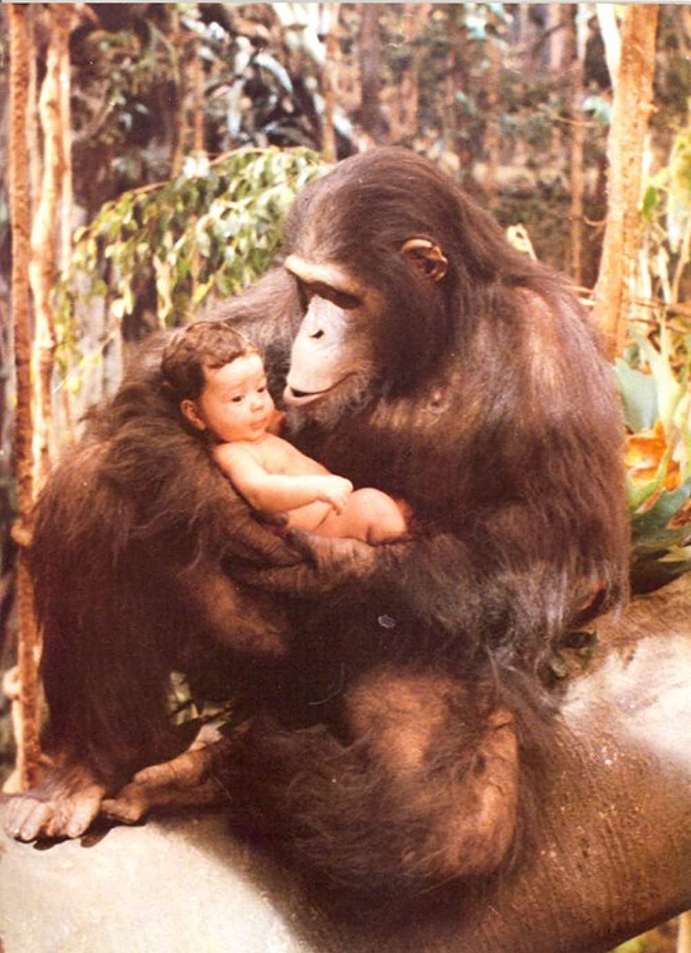 グレイストーク -類人猿の王者- ターザンの伝説の画像