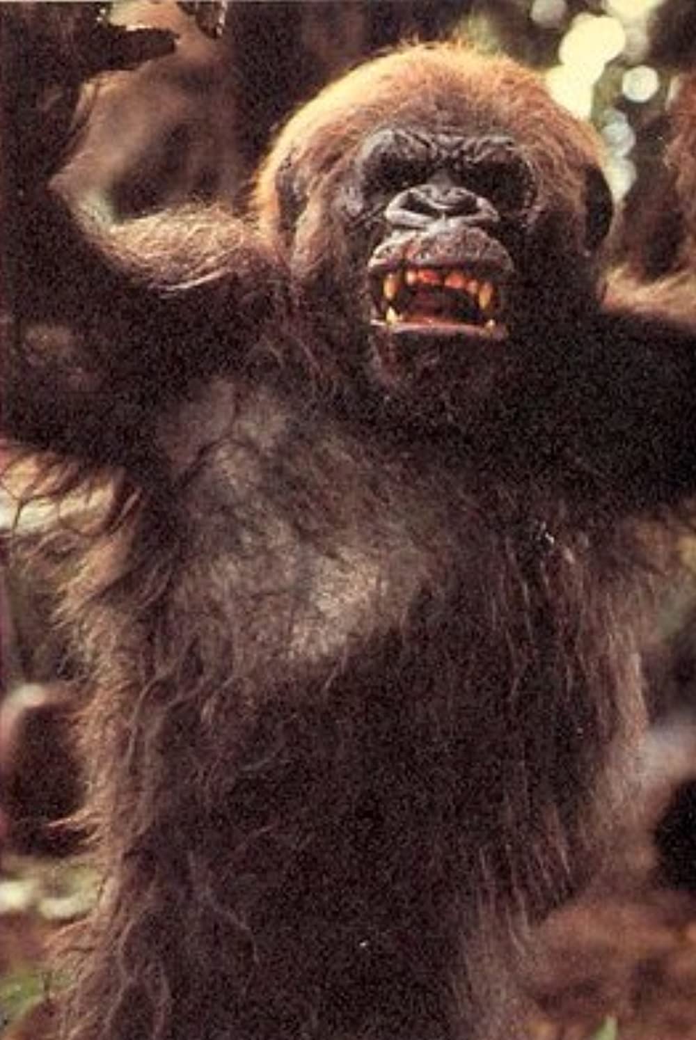 「グレイストーク -類人猿の王者- ターザンの伝説」ジョン・アレクサンダーの画像