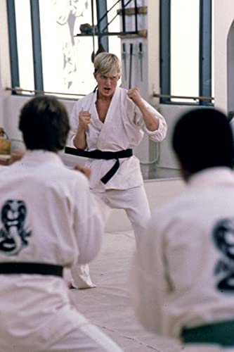 ベスト・キッドの画像