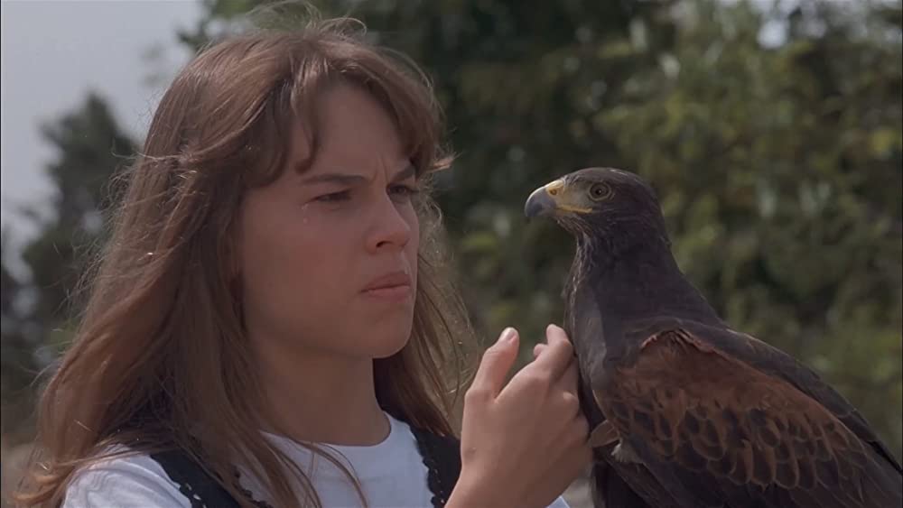 ベスト・キッド4の画像