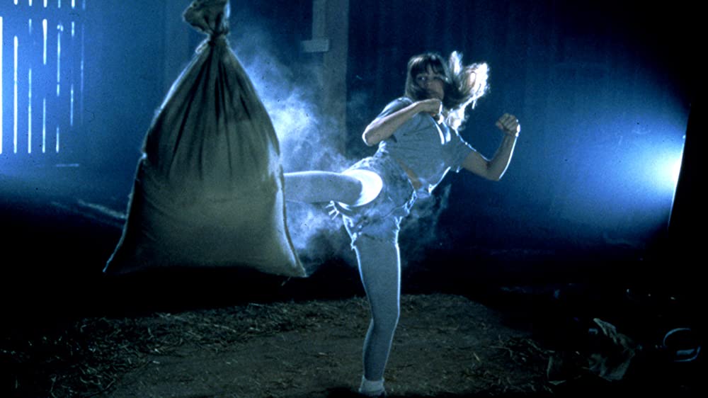 ベスト・キッド4の画像