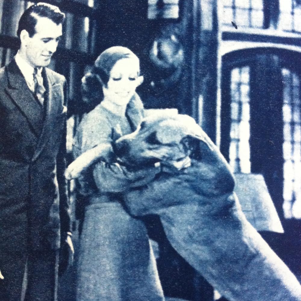 今日限りの命の画像