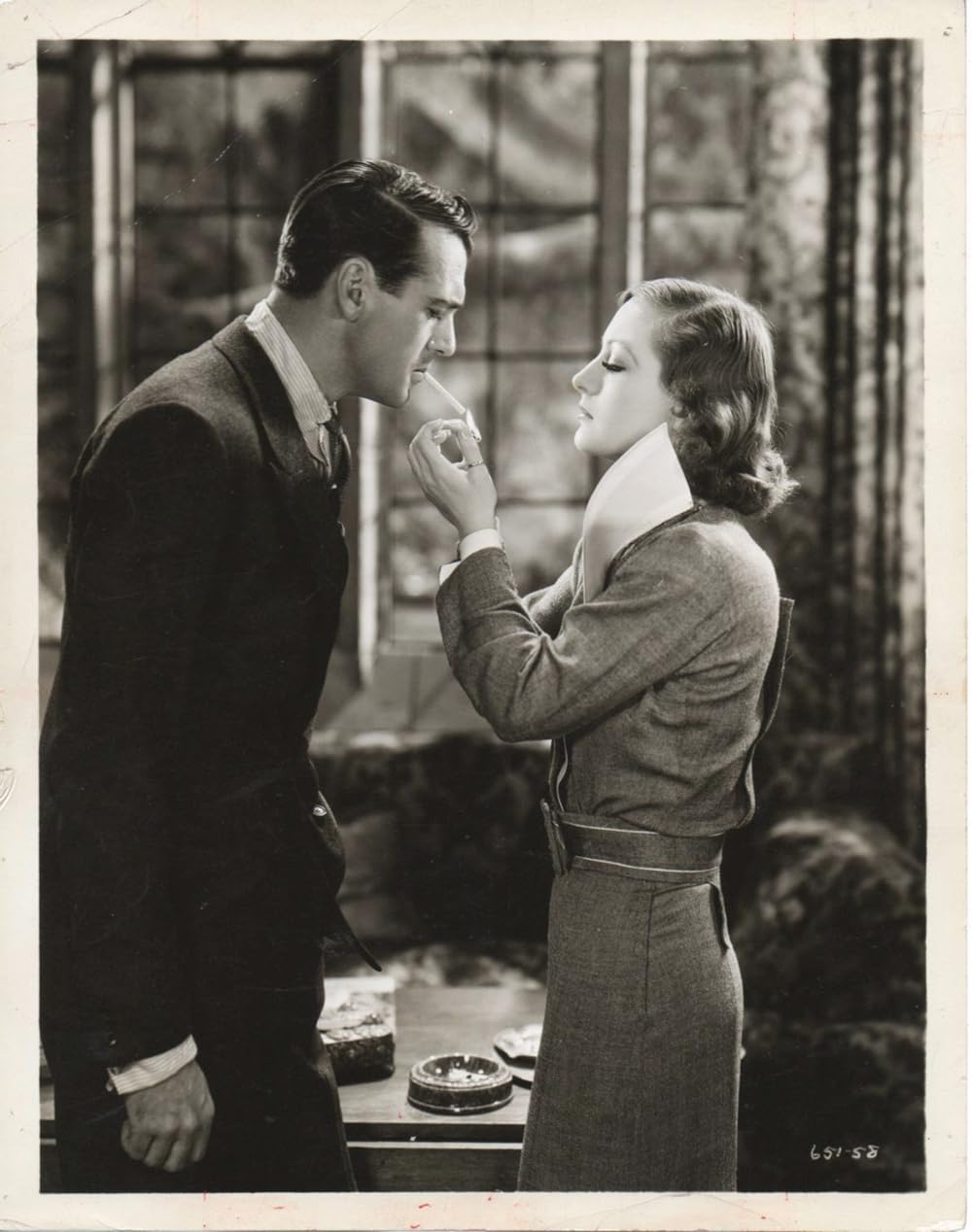 今日限りの命の画像