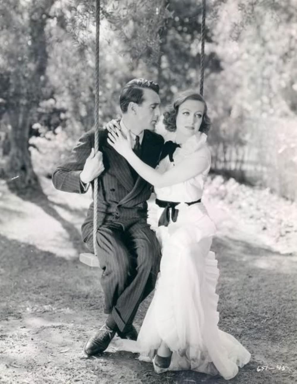 今日限りの命の画像