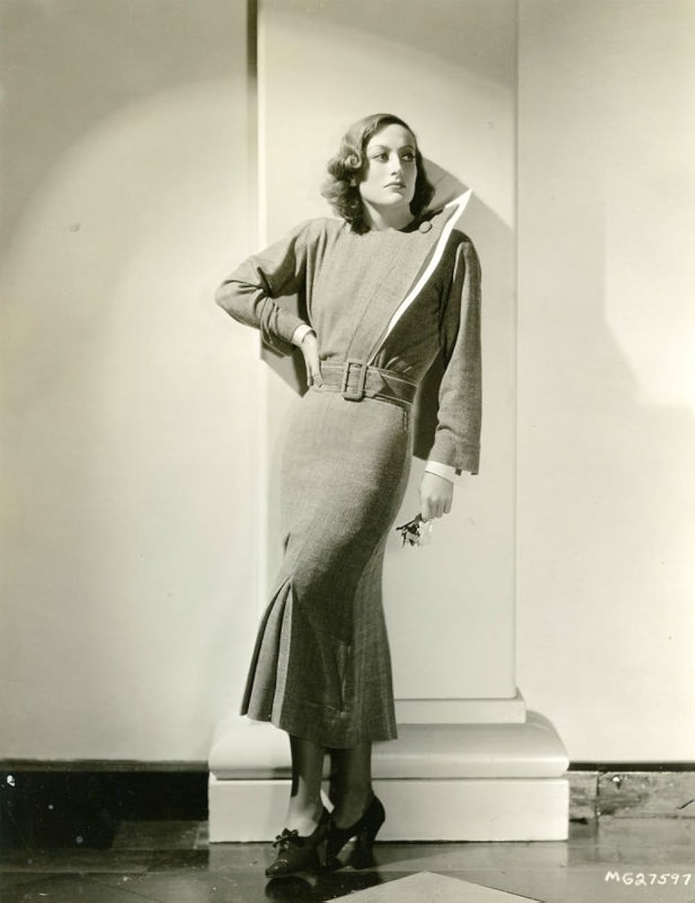 今日限りの命の画像