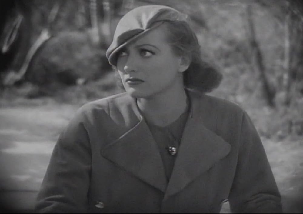 今日限りの命の画像