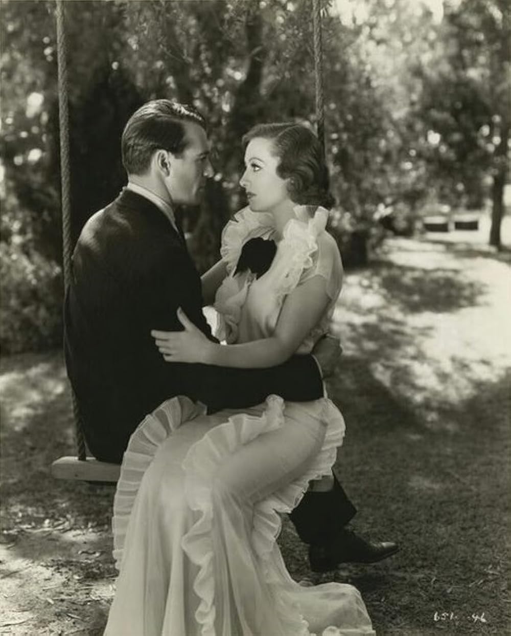 今日限りの命の画像