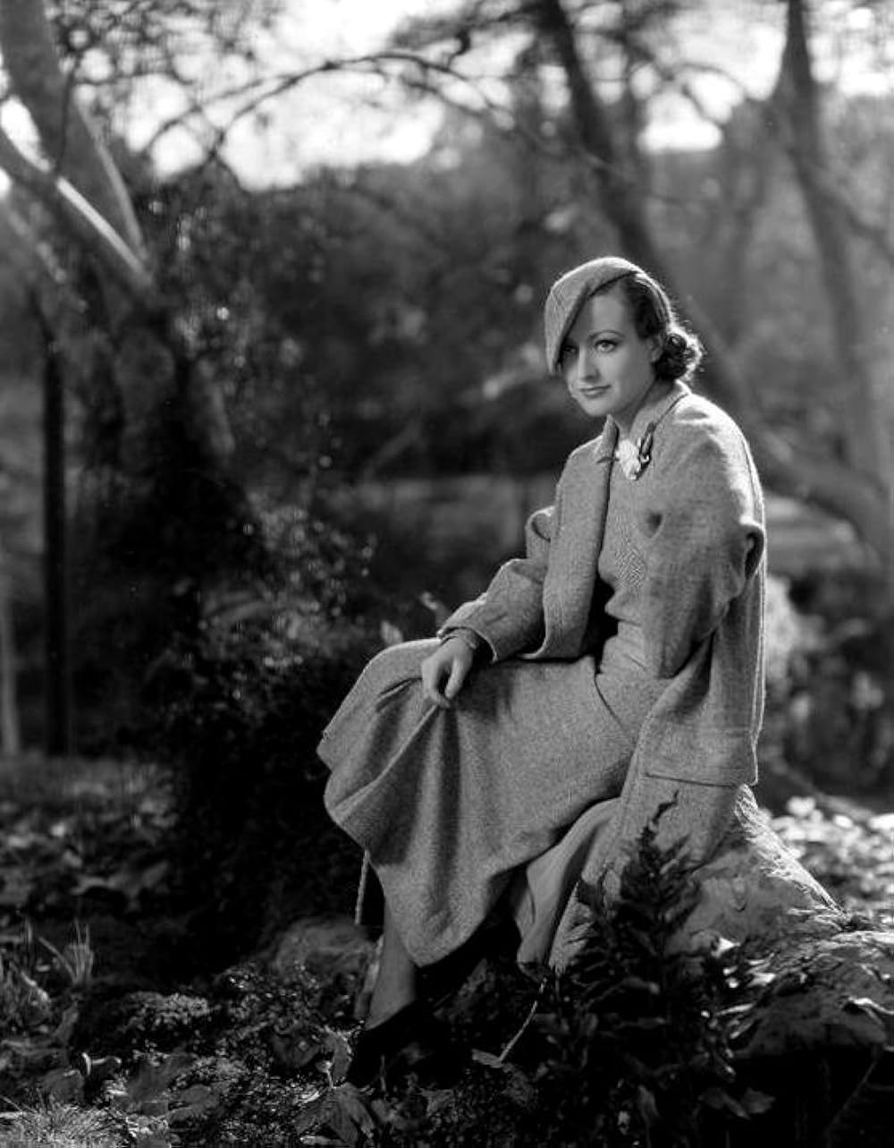 今日限りの命の画像