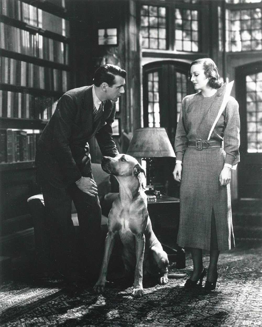 今日限りの命の画像