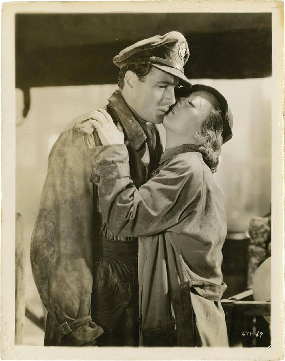 今日限りの命の画像