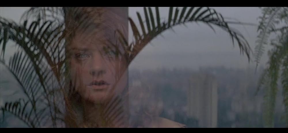 エメラルド・フォレストの画像