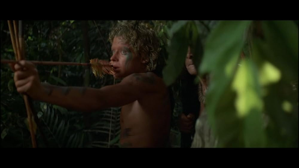 エメラルド・フォレストの画像