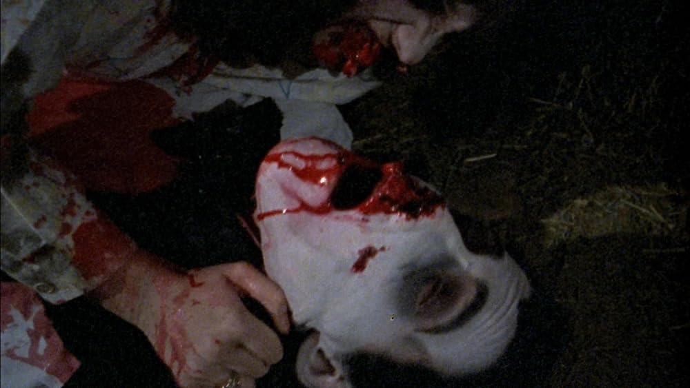 フレッシュイーター／ゾンビ群団の画像