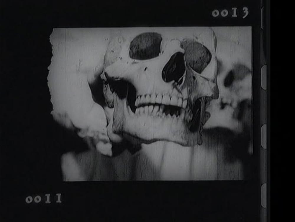 ヒトラーのためのソナタの画像