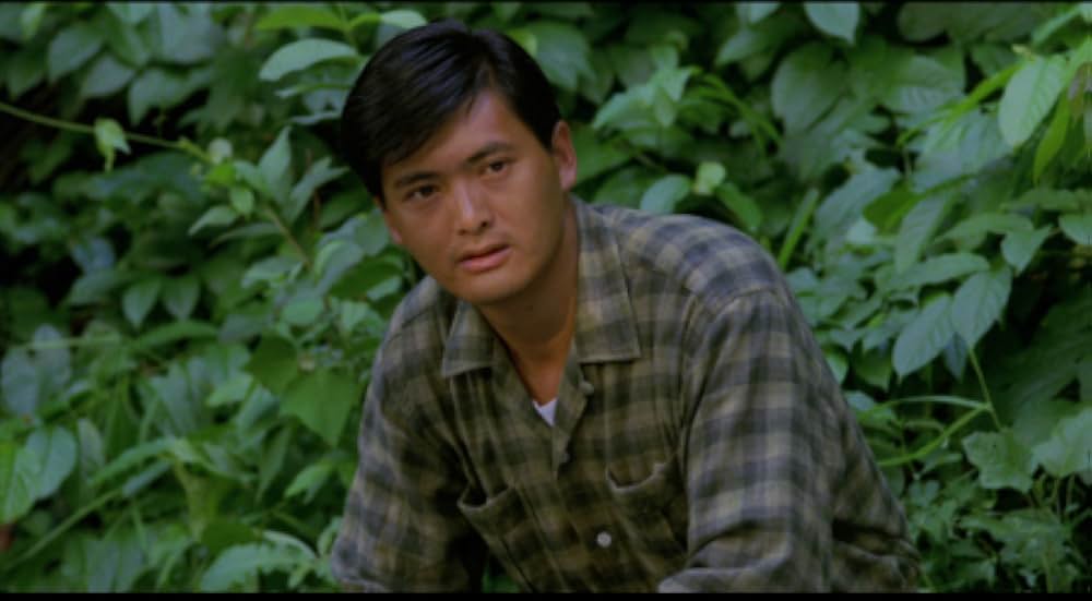 風の輝く朝にの画像