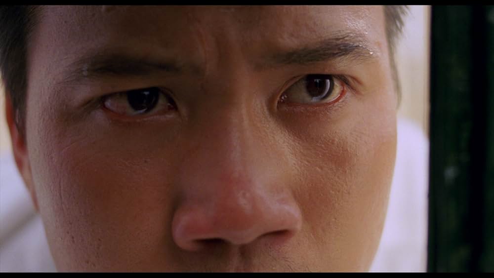 風の輝く朝にの画像