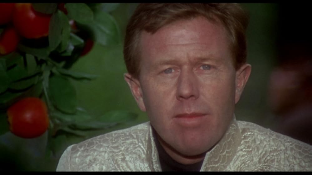 傷だらけのアイドルの画像