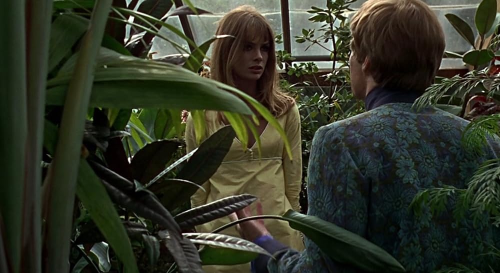 傷だらけのアイドルの画像