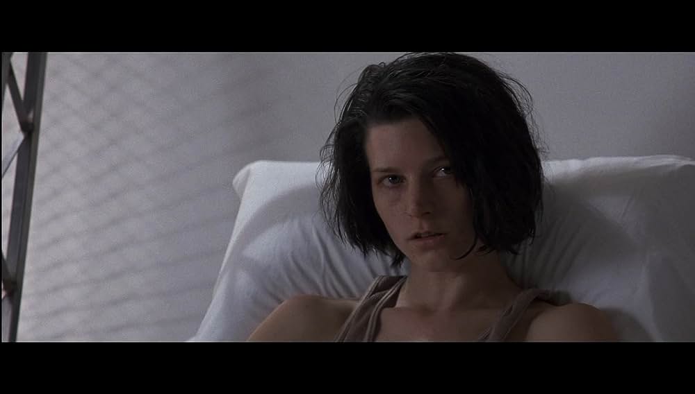 アサシンの画像