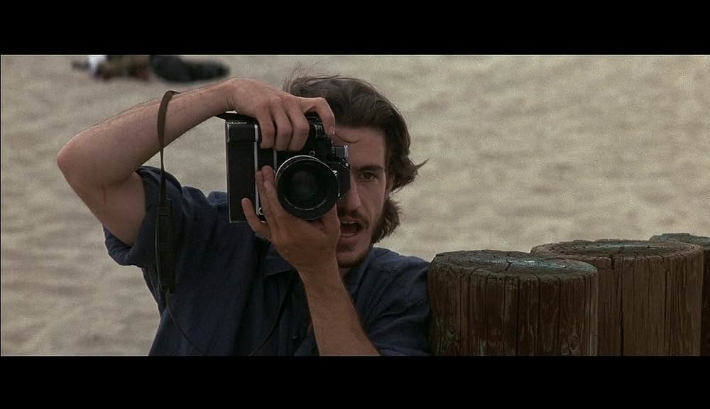 アサシンの画像