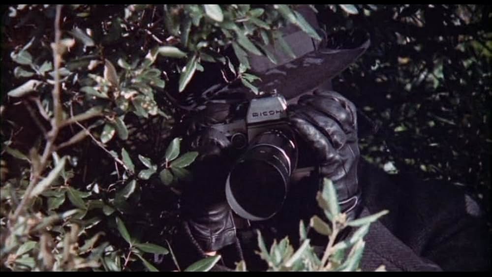 ソー・スウィート、ソー・デッドの画像