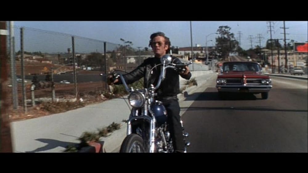 ワイルド・エンジェルの画像