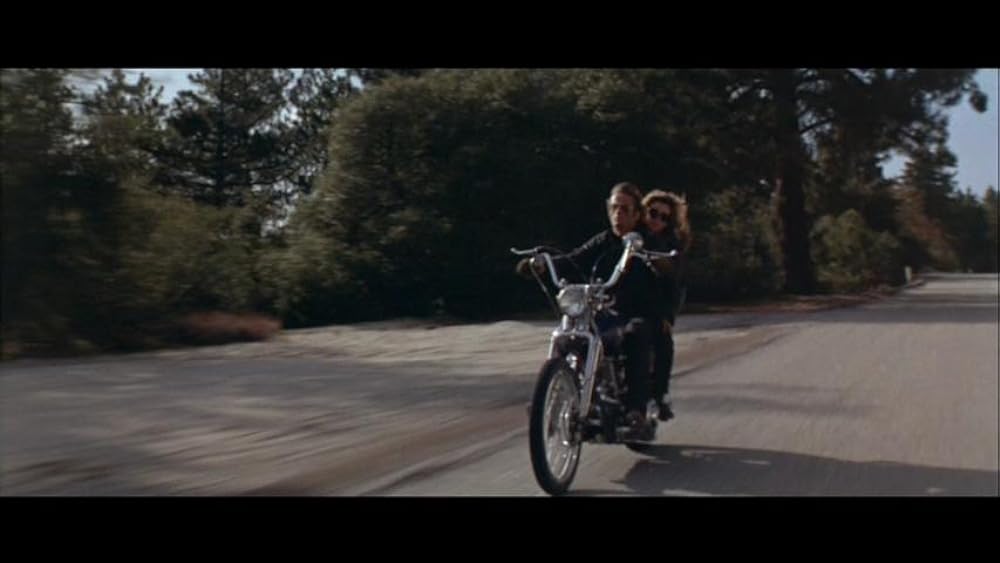 ワイルド・エンジェルの画像