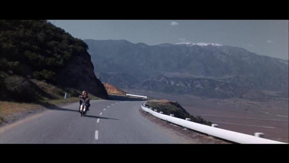 ワイルド・エンジェルの画像