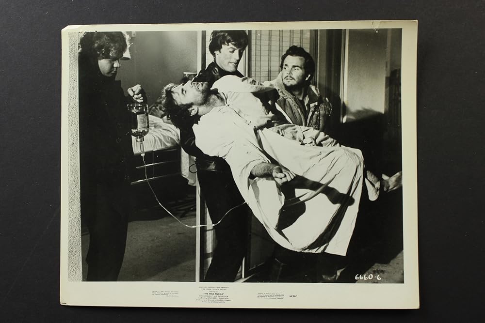 ワイルド・エンジェルの画像