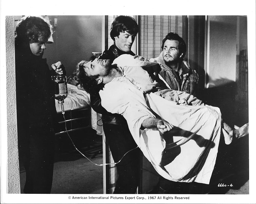 ワイルド・エンジェルの画像